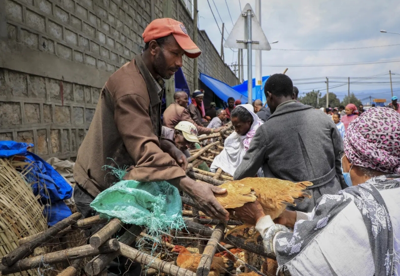 Ethiopia’s economy set for strong growth in 2026